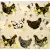 Serwetka do decoupage kolorowe kury 33x33 IHR Unikat